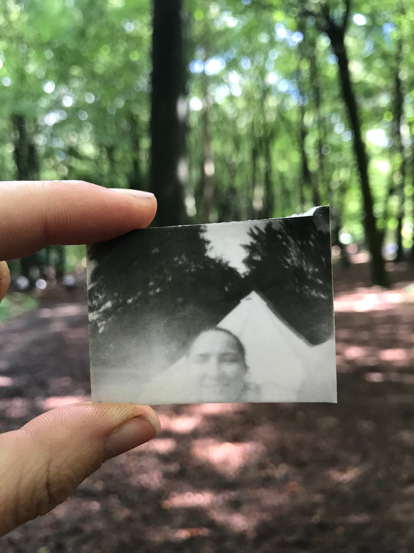 Positive Pinholes with Plant Based Developers