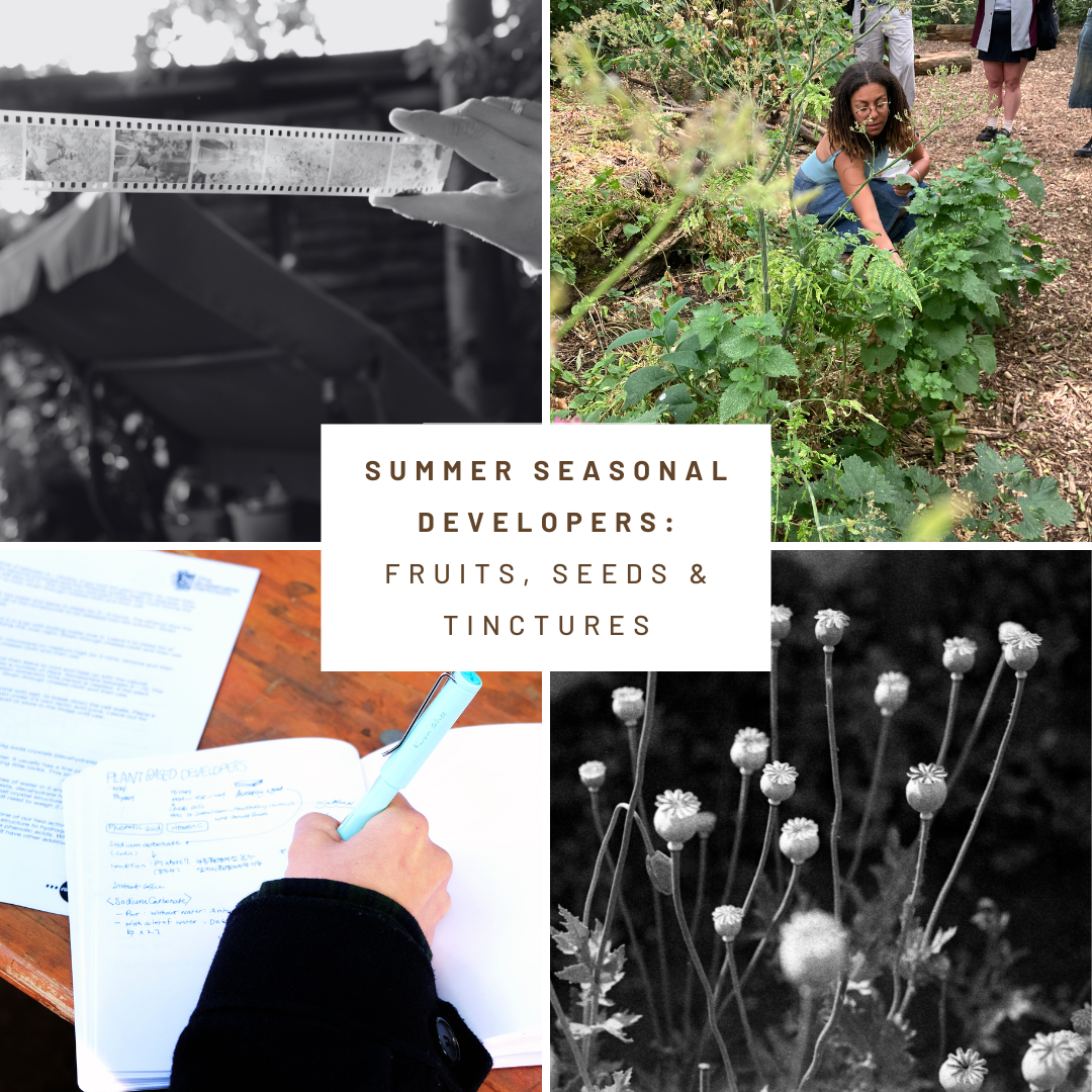 Summer Seasonal Developers: Fruits, Seeds, and Tinctures