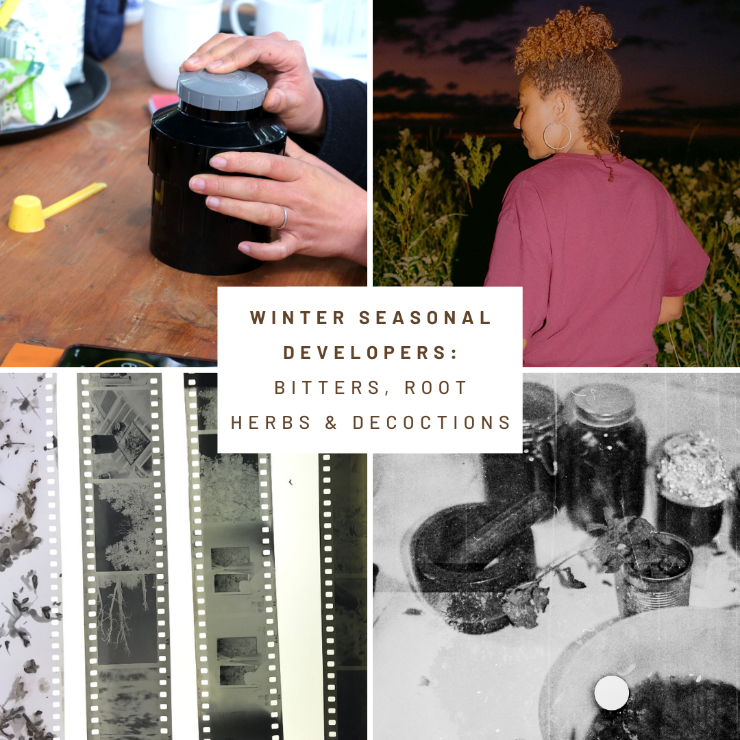 Winter Seasonal Developers: Bitters, Root Herbs, and Decoctions