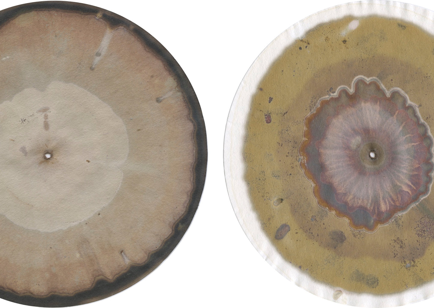Soil Chromatography
