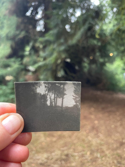 Positive Pinholes with Plant Based Developers