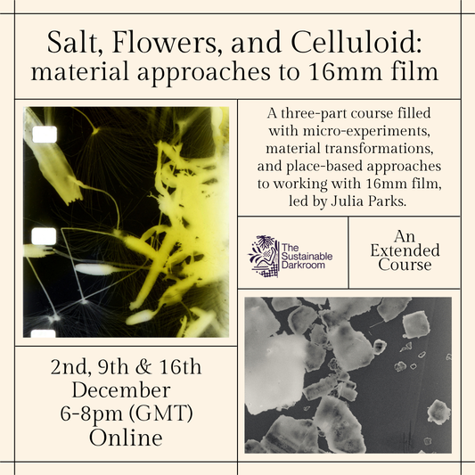 Salt, Flowers, and Celluloid: material approaches to 16mm film