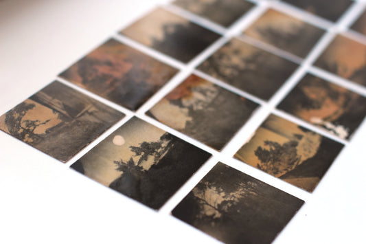 Positive Pinholes with Plant Based Developers (14th March in Sweden)