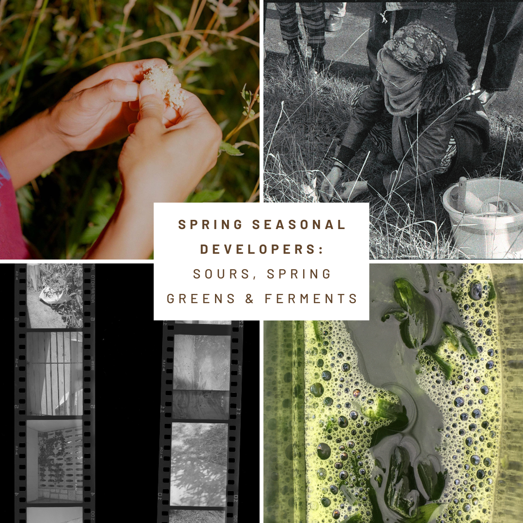 Spring Seasonal Developers: Sours, Spring Greens, and Ferments