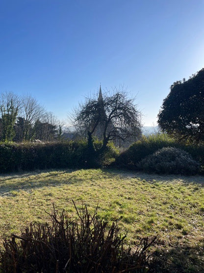 Positive Pinholes with Plant Based Developers