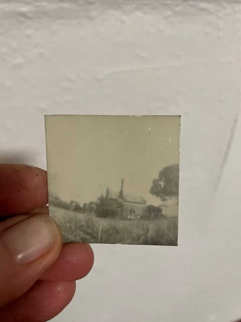 Positive Pinholes with Plant Based Developers