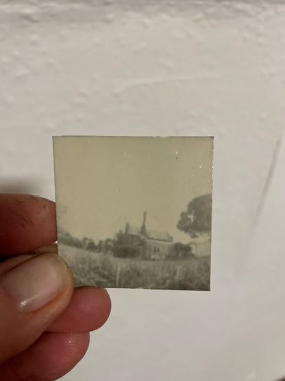 Positive Pinholes with Plant Based Developers