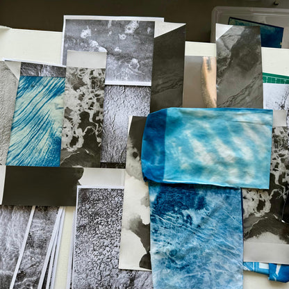 Ecologies in Planning: Proposals, Budgets, Pitches